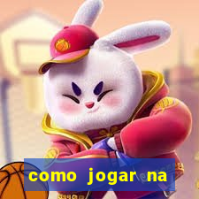 como jogar na lotinha do jogo do bicho